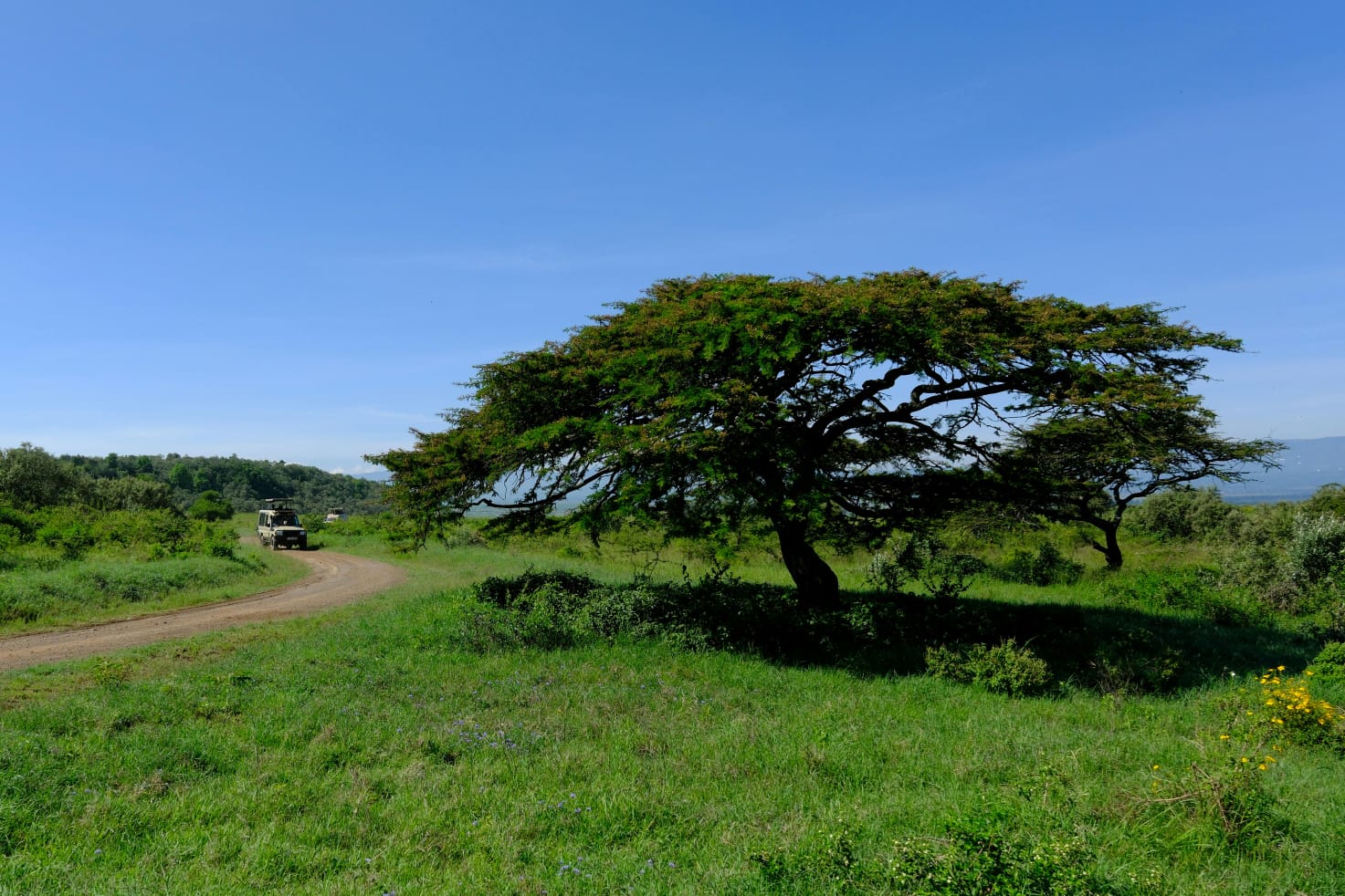 Homepage safari gallery photo 1 - ZS Safaris Kenya