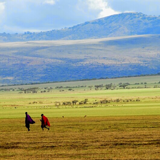 Maasai walkers crossing open plains beneath distant hills - ZS Safaris Kenya